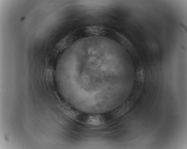 X0000103900757200809191238