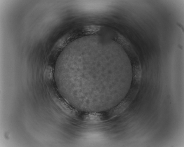 X0000103900758200809191238