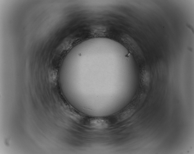 X0000103900759200809191238