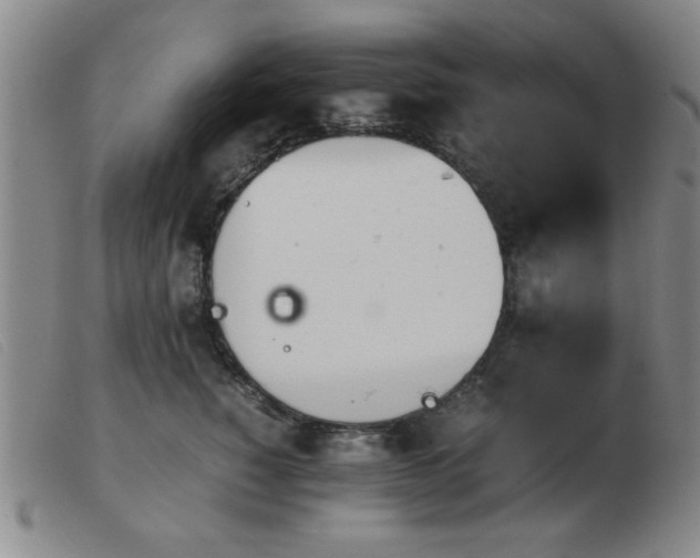 X0000103900760200809191238