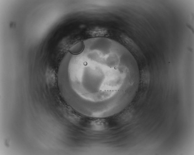 X0000103900761200809191238