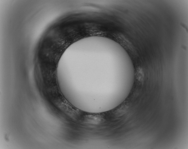 X0000103900763200809191238
