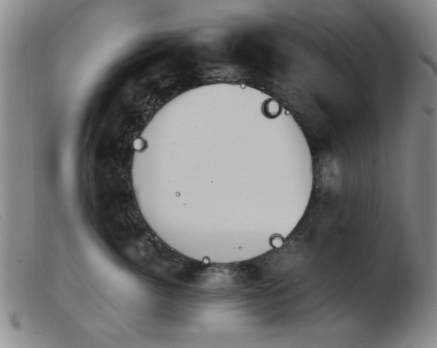 X0000103900764200809191238