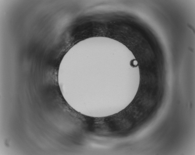 X0000103900766200809191238
