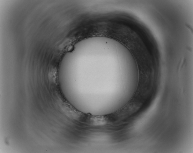 X0000103900767200809191238