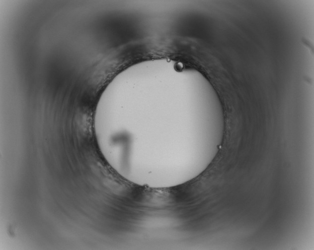 X0000103900768200809191238