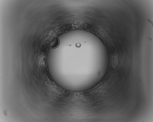 X0000103900770200809191237