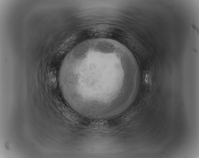 X0000103900771200809191237