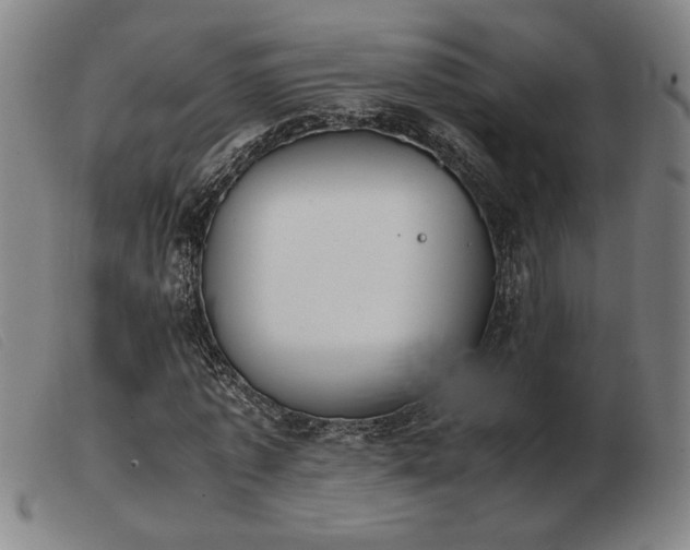 X0000103900773200809191237