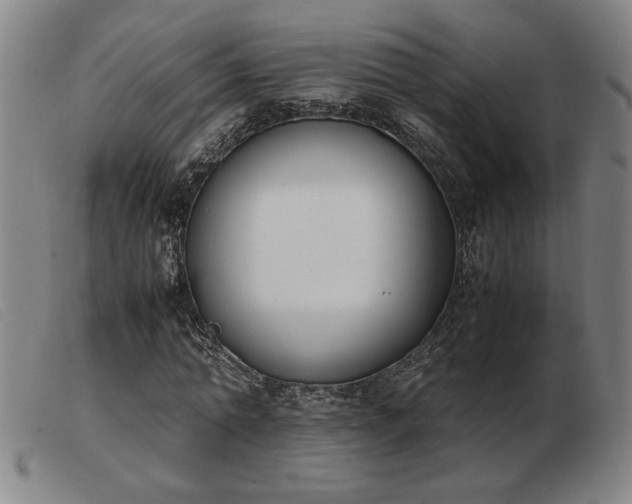 X0000103900774200809191237