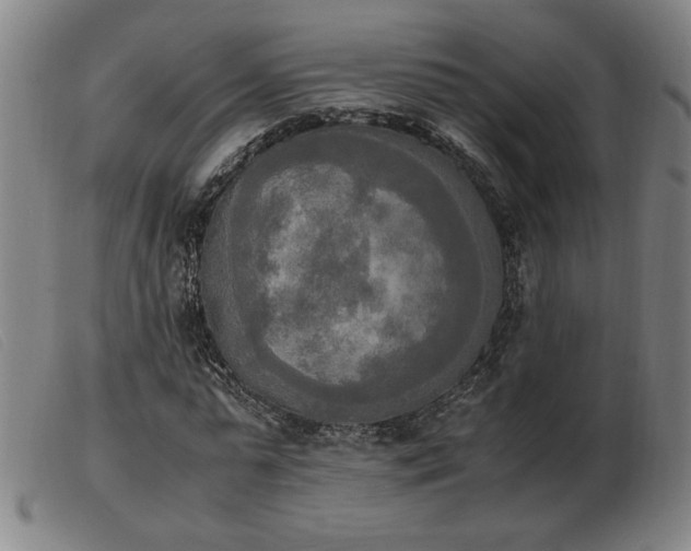 X0000103900775200809191237