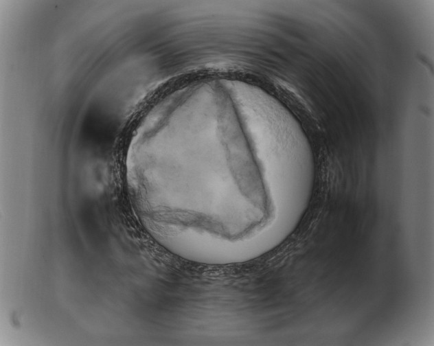 X0000103900776200809191237