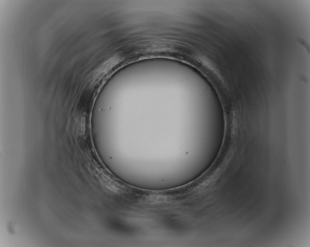 X0000103900777200809191237