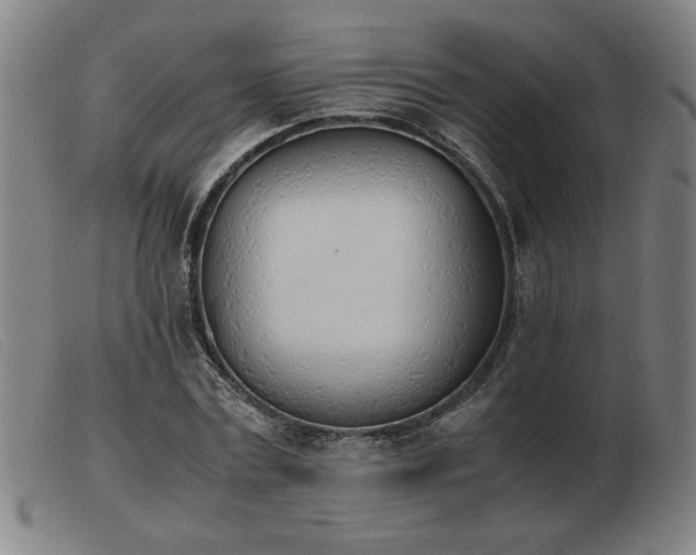 X0000103900779200809191237