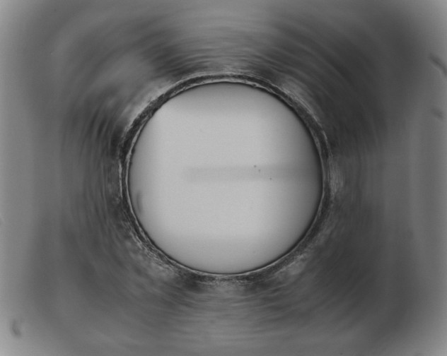 X0000103900781200809191237