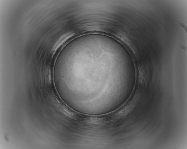 X0000103900782200809191237