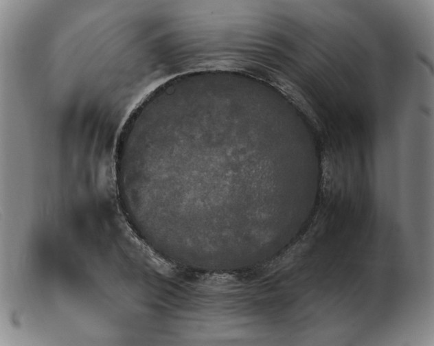 X0000103900784200809191237