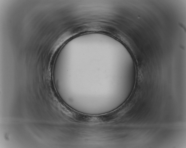 X0000103900787200809191237