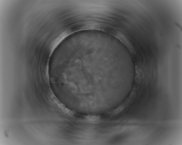 X0000103900788200809191237