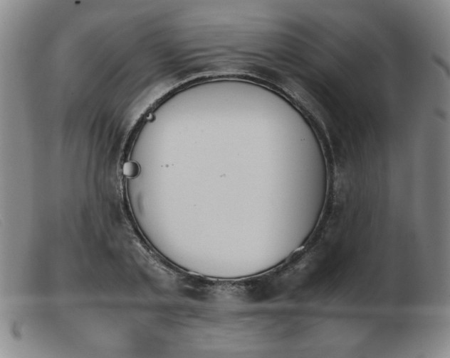 X0000103900789200809191237