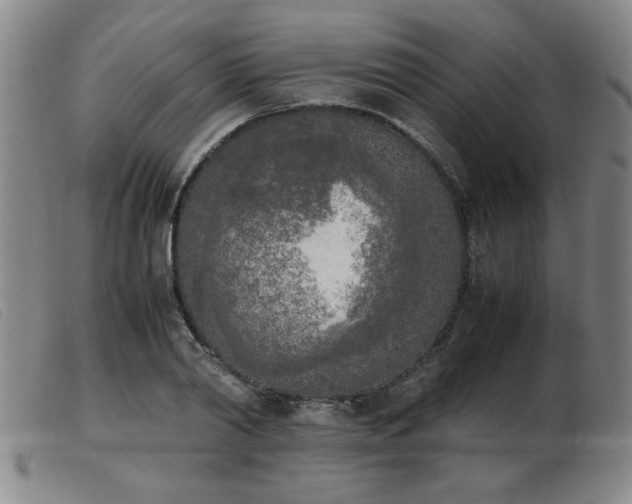 X0000103900790200809191237