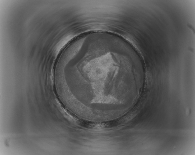 X0000103900791200809191237