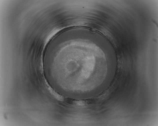 X0000103900792200809191237