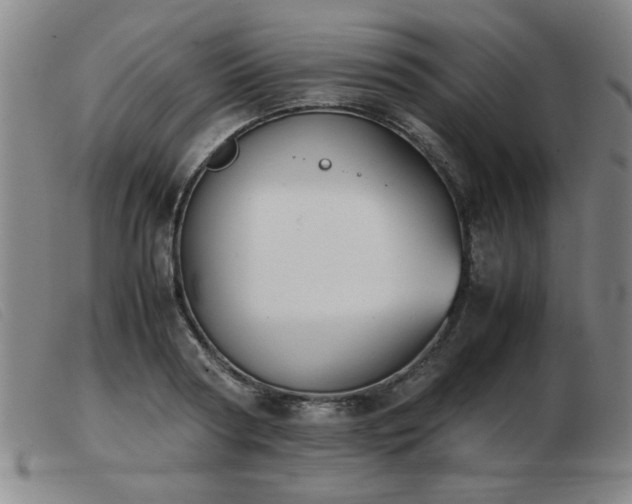 X0000103900794200809191237