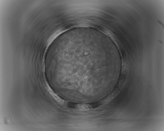 X0000103900795200809191237