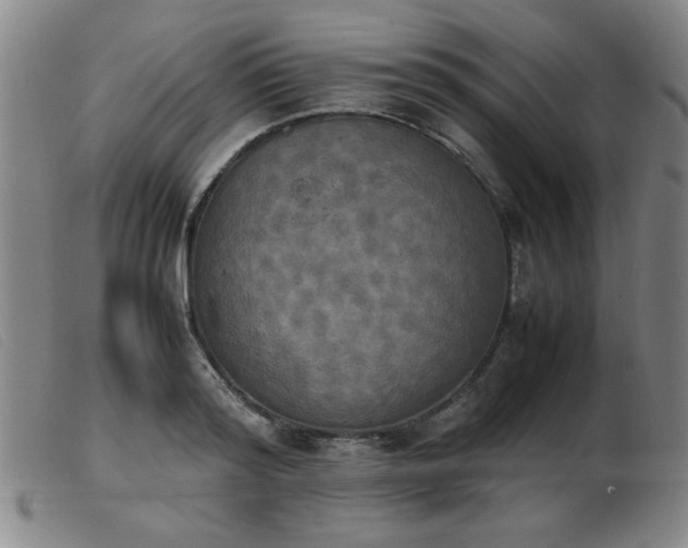 X0000103900796200809191237