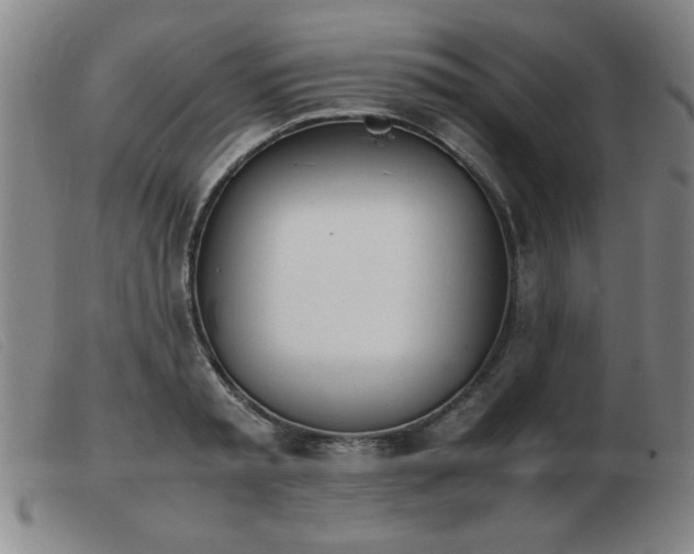 X0000103900797200809191237