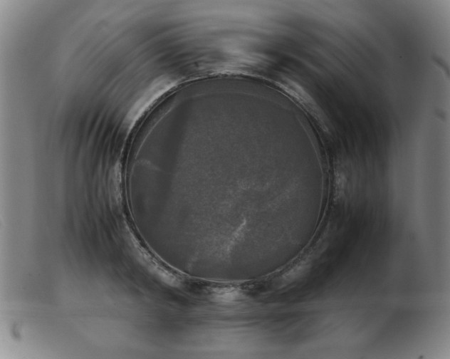 X0000103900798200809191237