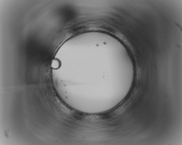 X0000103900801200809191237
