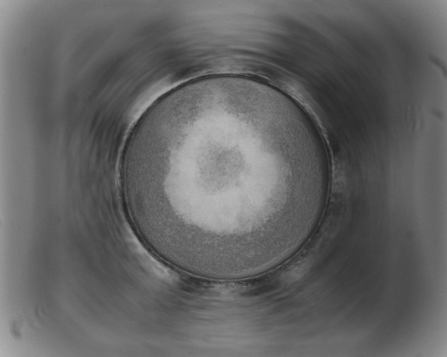 X0000103900803200809191237