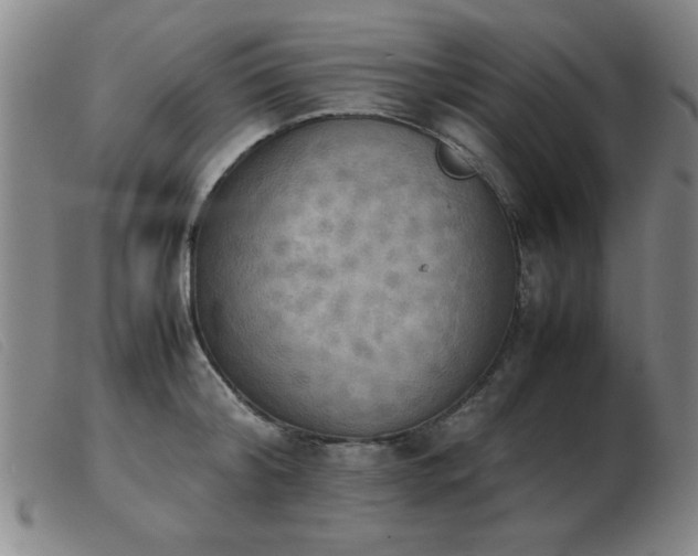 X0000103900804200809191237