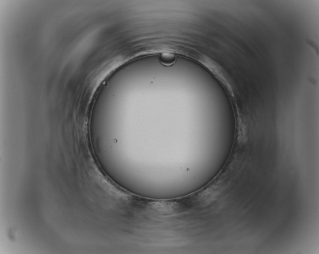 X0000103900805200809191237
