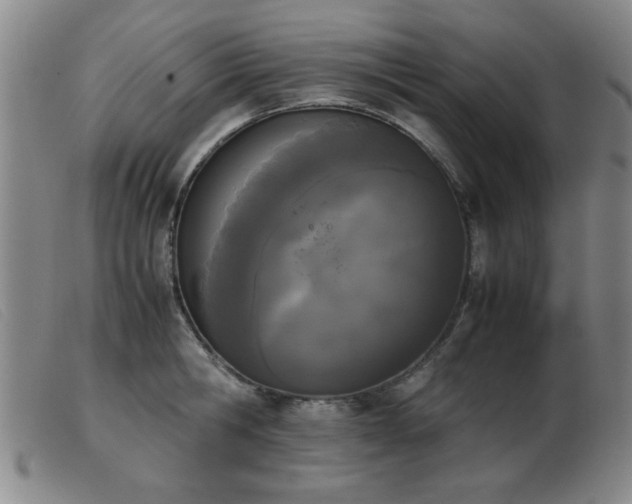X0000103900806200809191237