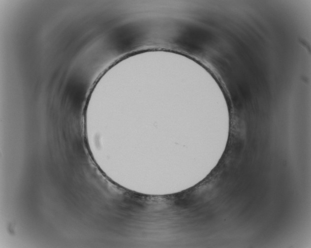 X0000103900807200809191237