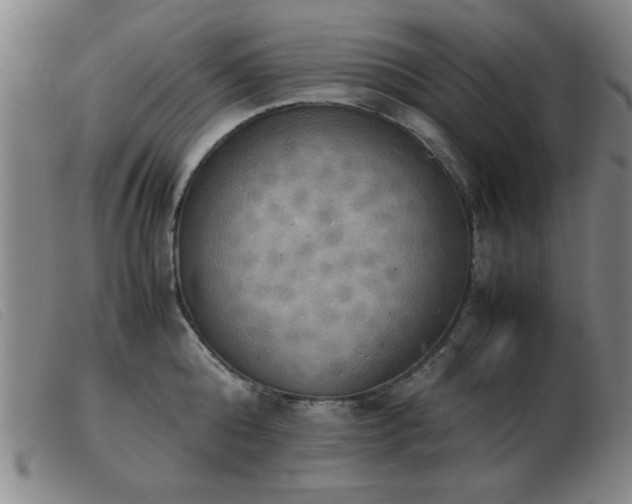 X0000103900808200809191237