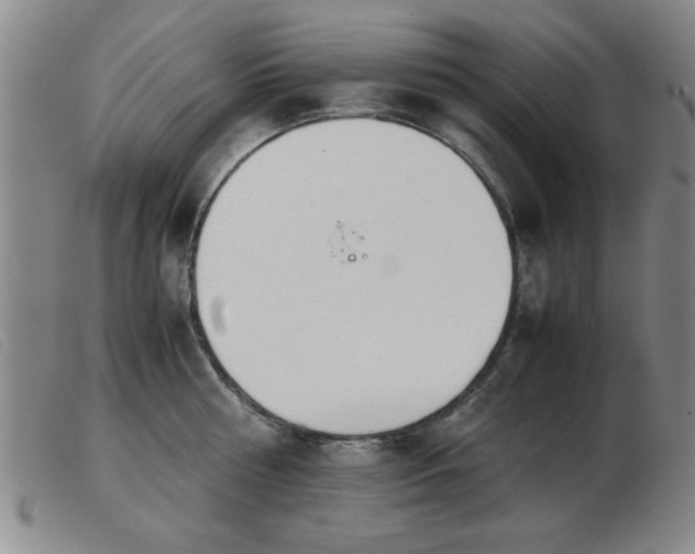 X0000103900810200809191237
