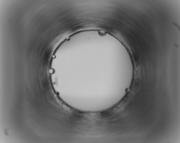 X0000103900813200809191237