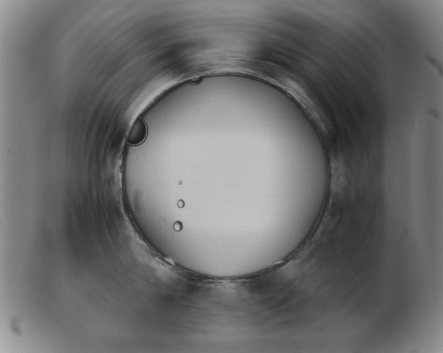 X0000103900814200809191237