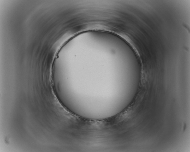 X0000103900815200809191237