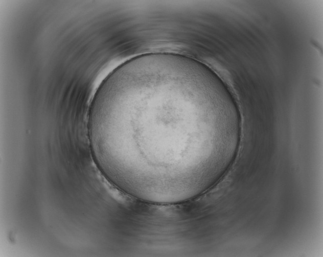 X0000103900816200809191237