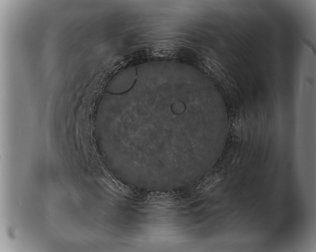X0000103900817200809191236