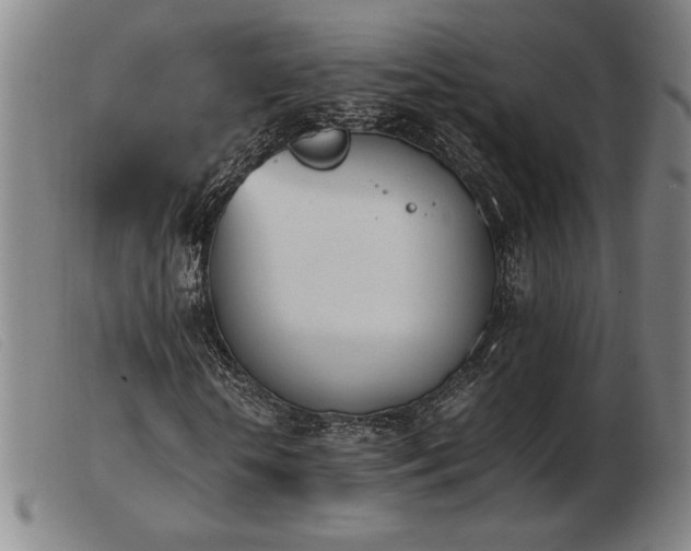 X0000103900818200809191236