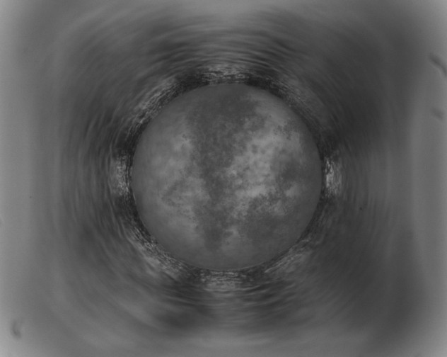 X0000103900819200809191236