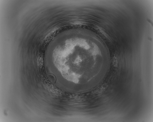 X0000103900821200809191236