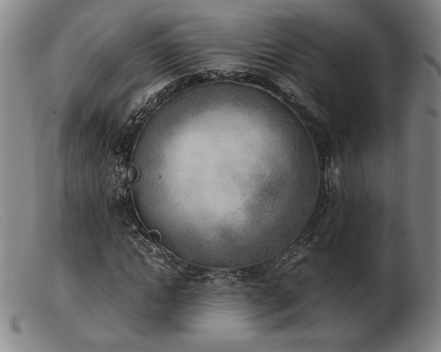 X0000103900822200809191236