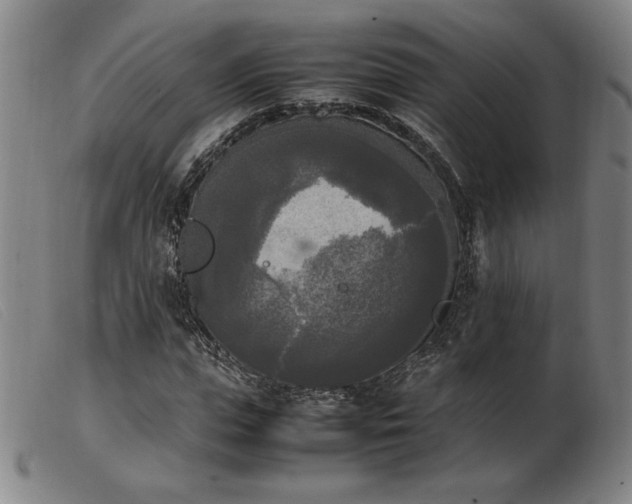 X0000103900823200809191236